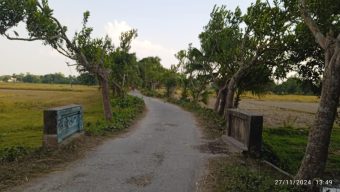 পত্নীতলায় গ্রামীণ সড়ক যেন দুর্বৃত্তদের দখলে
