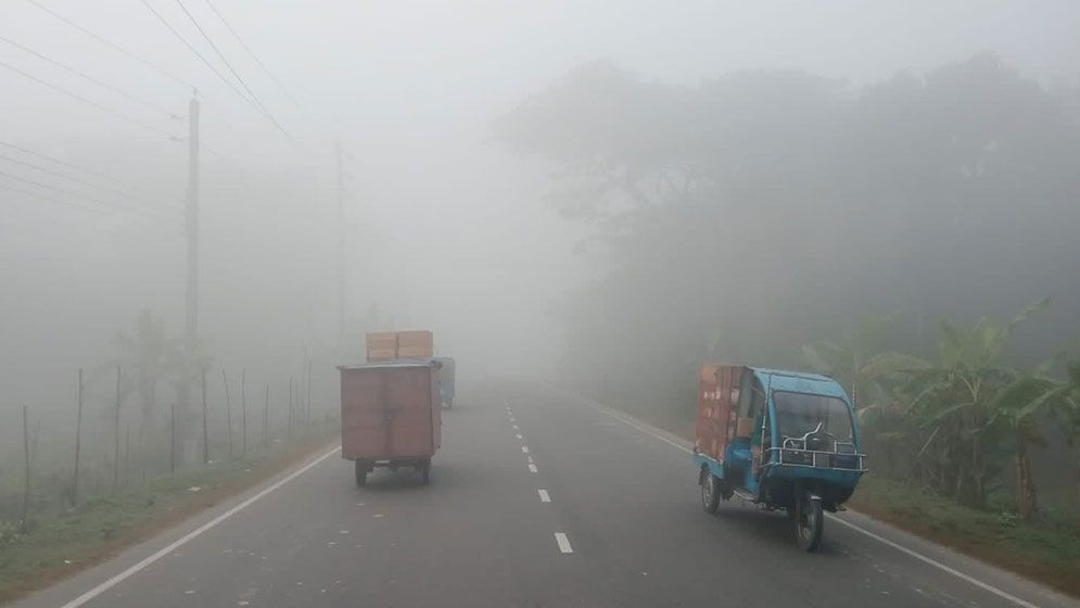 উত্তরের জনপদে শীতের কুয়াশা