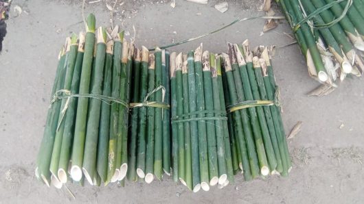 মৌলভীবাজারের ঐতিহ্যবাহী চুঙ্গাপিঠার উপকরণ ঢলুবাঁশ বিলুপ্তির পথে