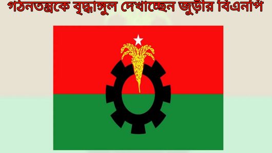 গঠনতন্ত্রকে বৃদ্ধাঙ্গুল দেখাচ্ছেন জুড়ীর বিএনপি