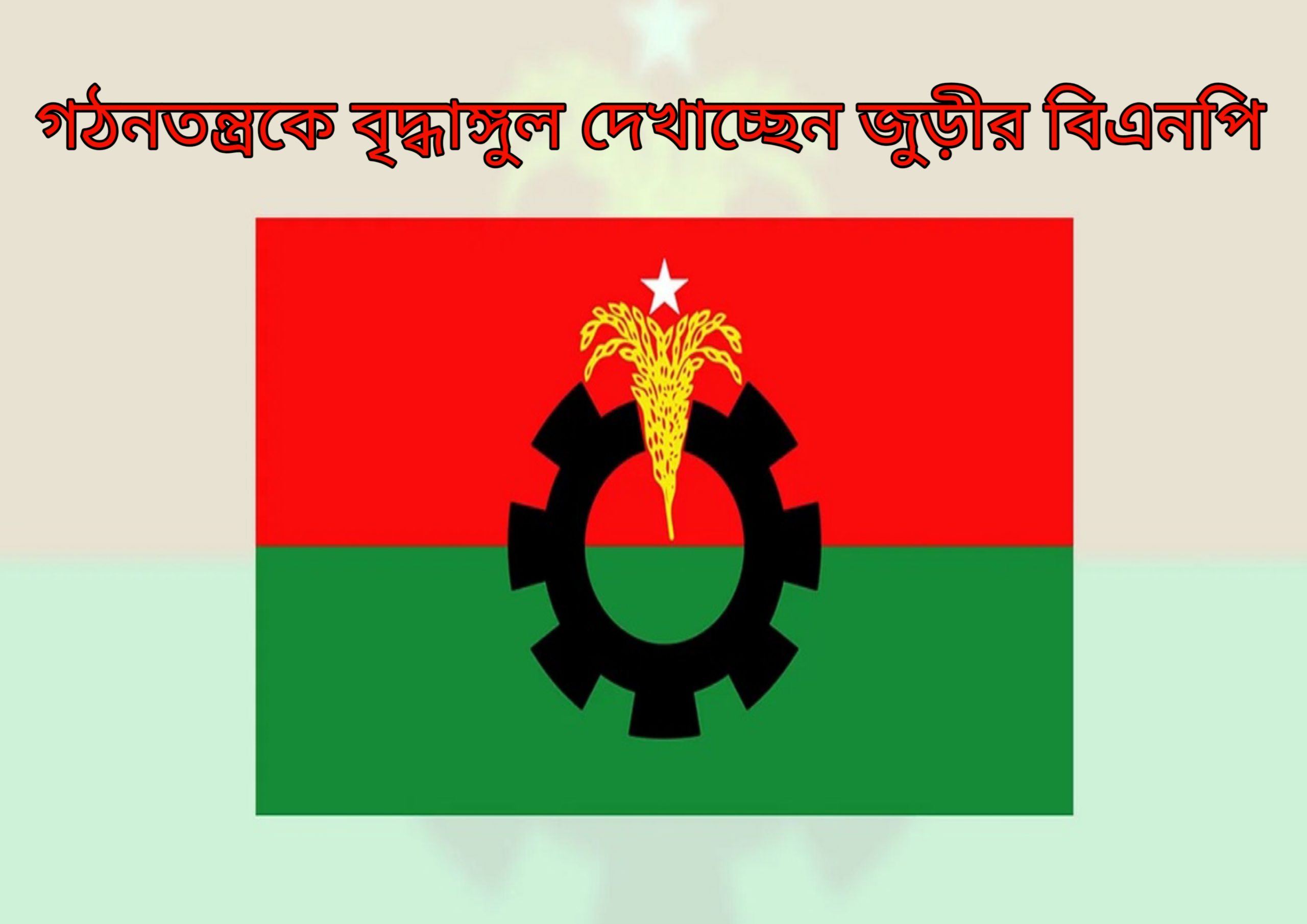 গঠনতন্ত্রকে বৃদ্ধাঙ্গুল দেখাচ্ছেন জুড়ীর বিএনপি