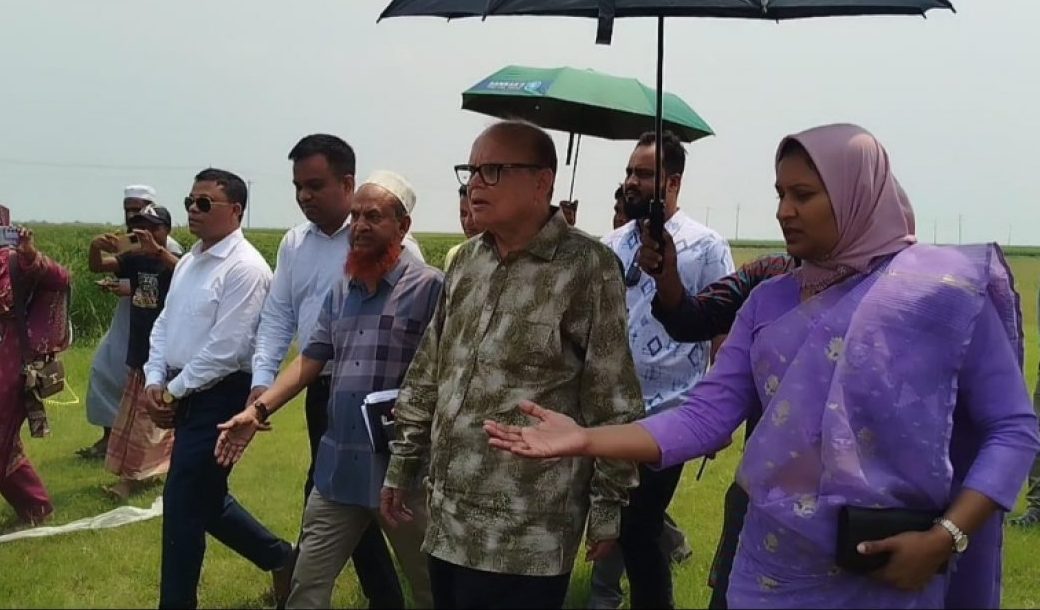 খাদ্য নিরাপত্তা নি‌য়ে কো‌নও ধরনের শঙ্কা নেই : আলী ইমাম মজুমদার