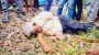 শ্রীমঙ্গলে আন্ত:নগর পাহাড়িকা ট্রেনের ধাক্কায় বৃদ্ধের মৃত্যু