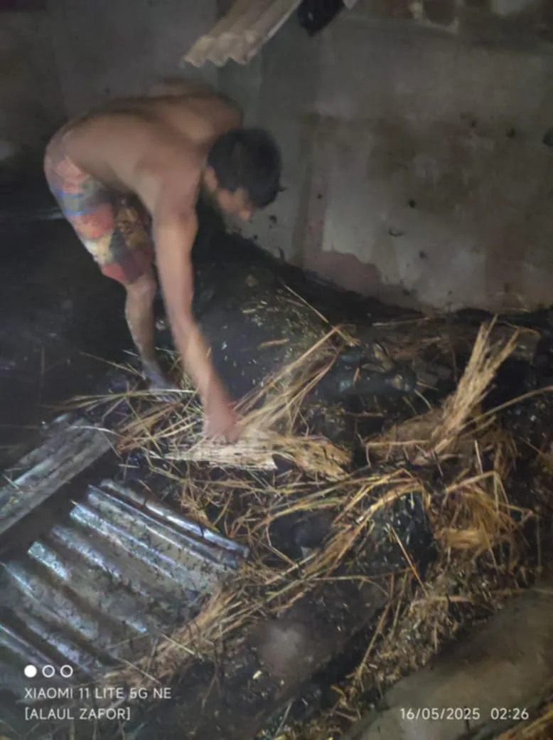 বাঘায় আগুনে পুড়লো বসত বাড়ি ,মারা গেল দুই গরু