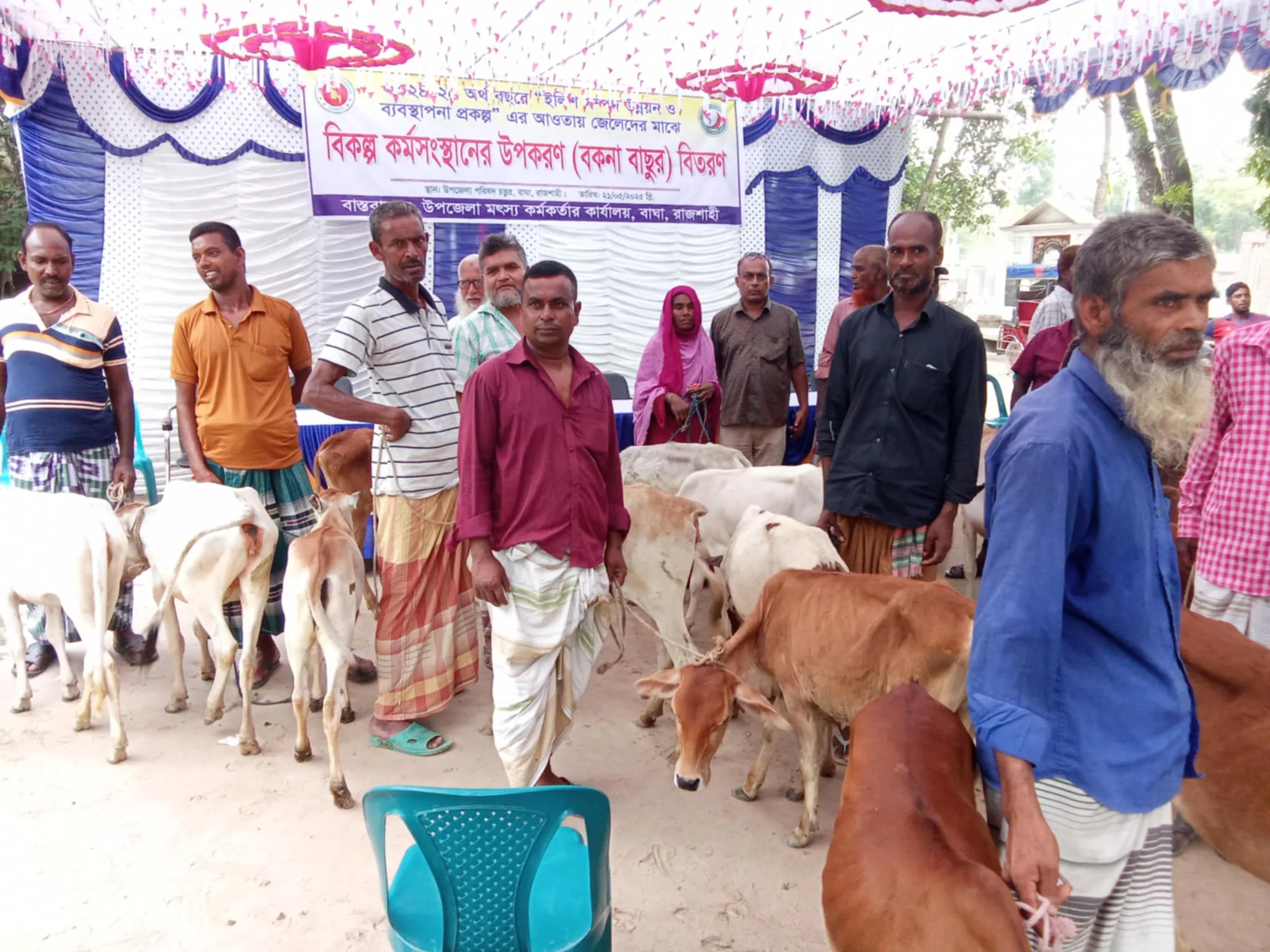 বাঘায় বিকল্প কর্মসংস্থানে জেলেরা পেলো বকনা বাছুর 