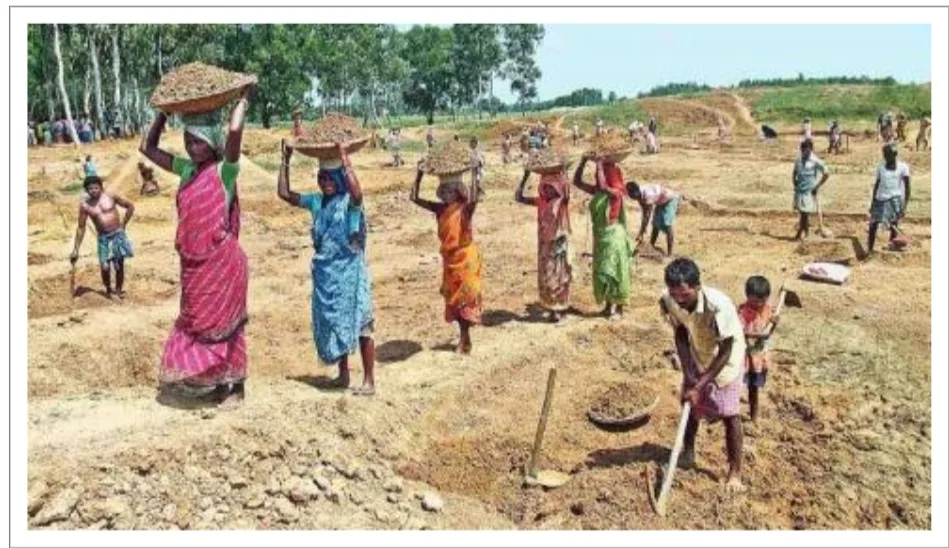 ভাটির হাওরে : ক্ষেতমজুররাই নব্য উৎপাদক শক্তি