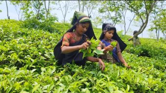 বঞ্চনার বৃত্তে চা-শ্রমিকদের জীবন