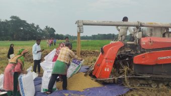 কালীগঞ্জে কম্বাইন হারভেস্টারে সমলয়ের বোরো ধান কর্তন উৎসব