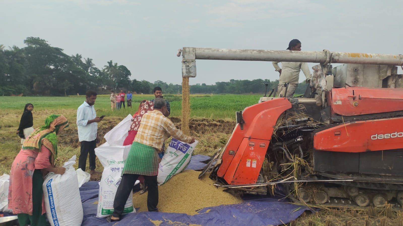 কালীগঞ্জে কম্বাইন হারভেস্টারে সমলয়ের বোরো ধান কর্তন উৎসব