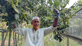 আতিকুল্লাহ ভূঁইয়ার সাফল্য; শখের বসে শুরু করা মিশ্র ফল চাষ ও নার্সারী এখন আয়ের উৎস