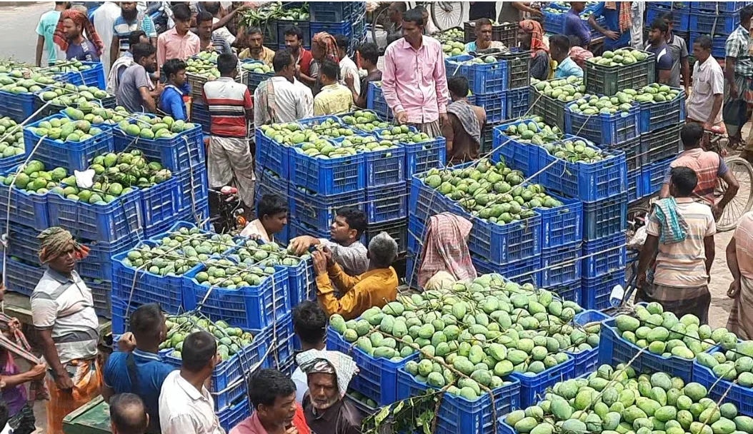 পুঠিয়ায় মহাসড়কে যানজটে জনদুর্ভোগ, আমের হাট স্থানান্তর 