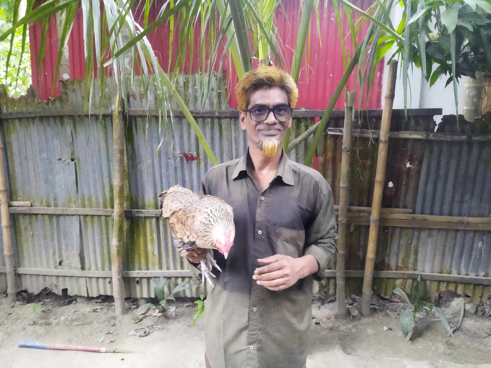নাগরপুরে সাংবাদিকের মুরগি এবার  মোরগে রুপ নিয়েছে!হাজারো জনতার ভীড়