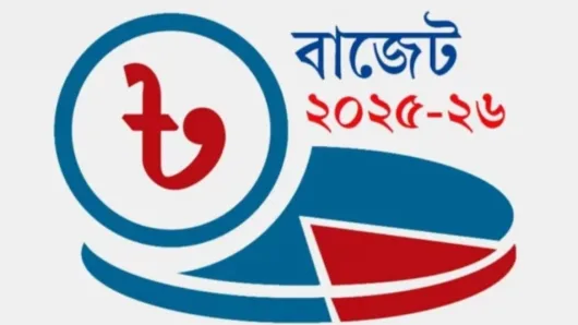 উপদেষ্টা পরিষদের বৈঠকে বাজেট অনুমোদন