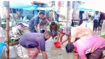 মোসলেমগঞ্জ হাটে হাঁটুপানি, ভোগান্তিতে ব্যবসায়ী ও পথচারী