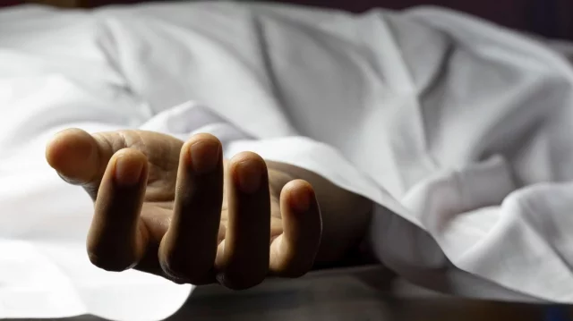 কোরবানির গরু বিক্রি করতে ঢাকা যাওয়ার পথে ট্রাক দূর্ঘটনায় খামারির মৃত্যু