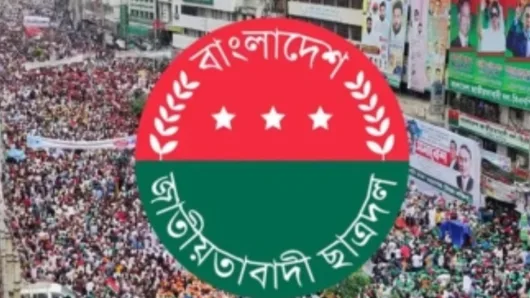শহীদদের স্মরণে ছাত্রদলের মাসব্যাপী কর্মসূচি ঘোষণা