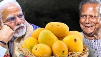 মোদিকে আম পাঠাচ্ছেন প্রধান উপদেষ্টা