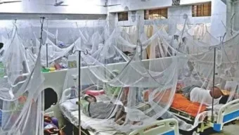 ২৪ ঘণ্টায় ডেঙ্গুতে দুই শিশুসহ ৪ জনের মৃত্যু, হাসপাতালে ভর্তি ৩১৯