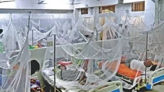 ২৪ ঘণ্টায় ডেঙ্গুতে দুই শিশুসহ ৪ জনের মৃত্যু, হাসপাতালে ভর্তি ৩১৯