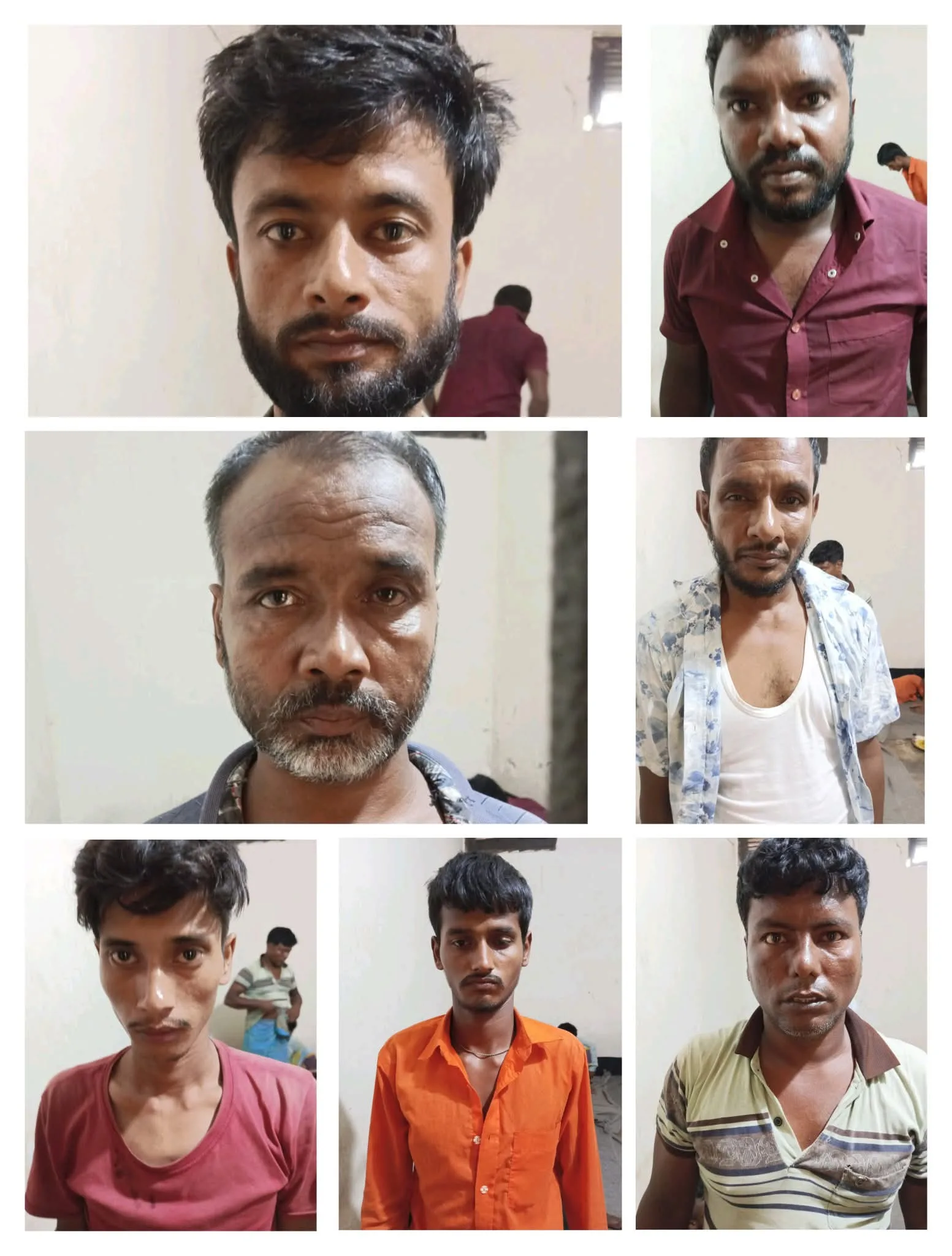 কালীগঞ্জে চোরাই গরু উদ্ধারসহ গরু চোর চক্রের ৭ সদস্য গ্রেপ্তার