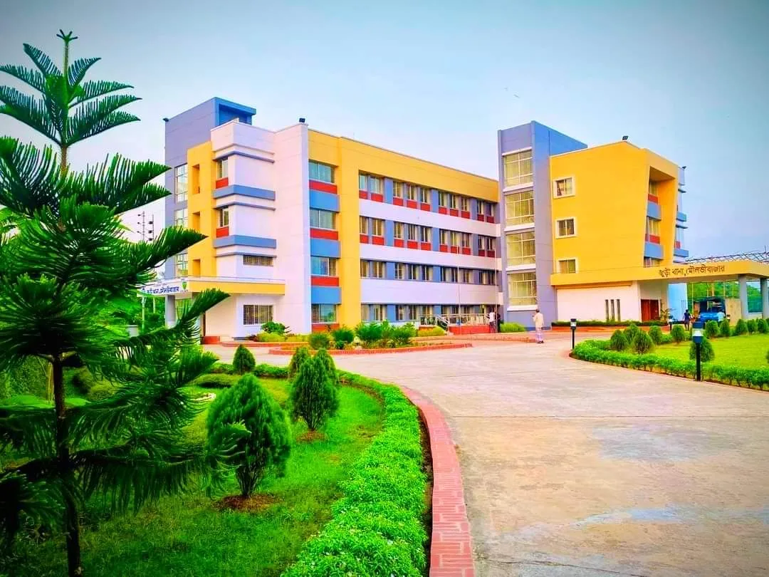 জুড়ীতে চা–শ্রমিক দম্পতির মরদেহ উদ্ধার