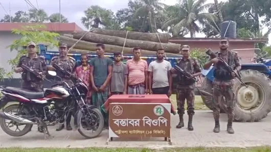ভারতে কাঠ পাচারকালে পত্নীতলা বিজিবি’র হাতে আটক ৫ চোরাকারবারি 