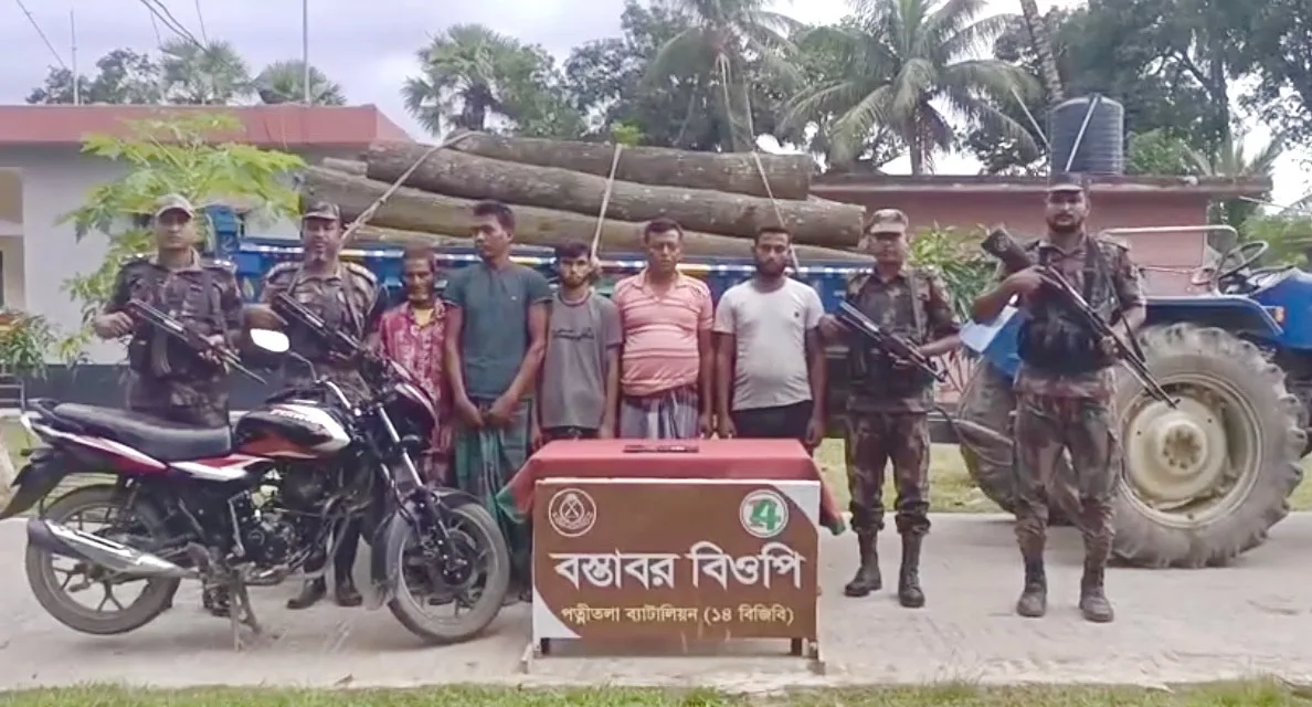 ভারতে কাঠ পাচারকালে পত্নীতলা বিজিবি’র হাতে আটক ৫ চোরাকারবারি 