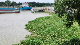 শীতলক্ষ্যায় কচুরিপানার সাথে ভেসে এলো অজ্ঞাত পুরুষ মানব কঙ্কাল