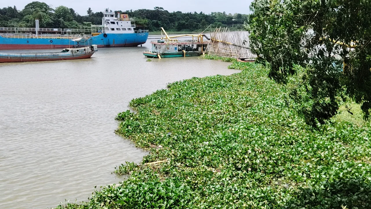 শীতলক্ষ্যায় কচুরিপানার সাথে ভেসে এলো অজ্ঞাত পুরুষ মানব কঙ্কাল