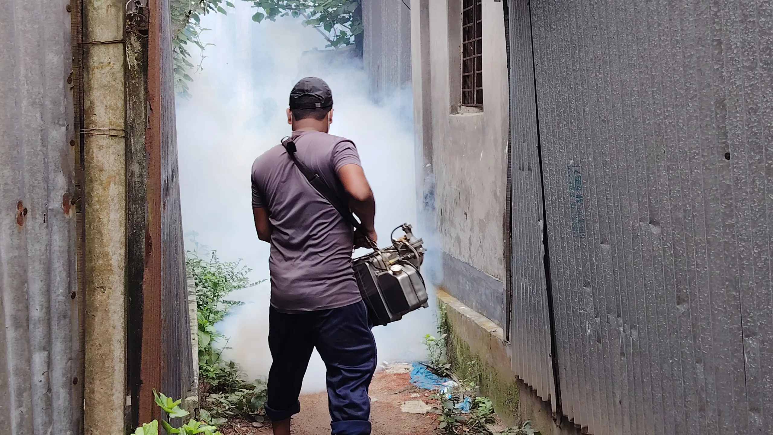 কালীগঞ্জ পৌর শহর যেন মশার স্বর্গরাজ্য  ডোবা-নালায় আবর্জনার স্তূপ, তাণ্ডবে অতিষ্ঠ জনজীবন
