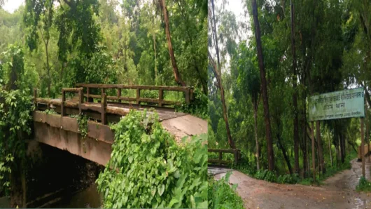 নাগরপুর তেবাড়িয়া ভাঙা সেতুতে ঝুঁকিপূর্ণ চলাচল, জনদুর্ভোগ চরমে