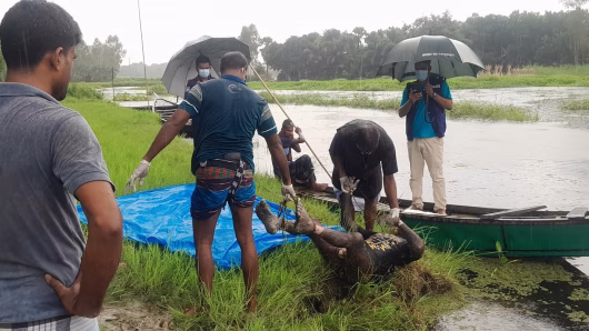 নাগরপুরে অজ্ঞাত লাশ উদ্বার