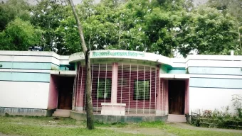 মিঠাপুকুরে বনদস্যুদের হামলায় বন কর্মকর্তা আহত