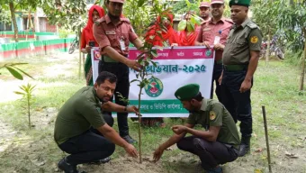 বাঘায় আনসার ভিডিপির উদ্যোগে বৃক্ষ-রোপণ