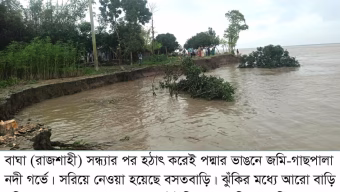 ভাঙনে ছোট হয়ে যাচ্ছে চকরাজাপুর ইউনিয়ন; পদ্মার হঠাৎ ভাঙনে জমিসহ গাছপালা নদী গর্ভে