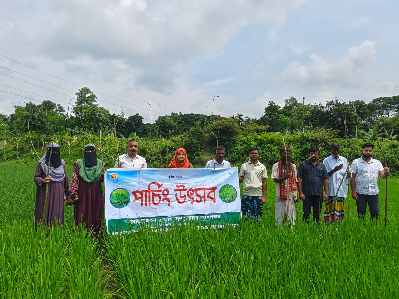 কাপাসিয়ায় ধানের পোকা নিধনে ‘পার্চিং উৎসব’ অনুষ্ঠিত