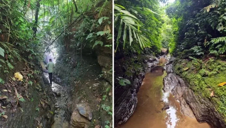 গহিন অরণ্যে প্রাচীনতম ৩০টিরও বেশি গিরিখাত