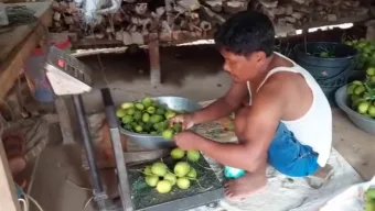 কালীগঞ্জে কৃষক-রপ্তানিকারকদের প্যাকিং হাউজ নির্মাণের দাবি