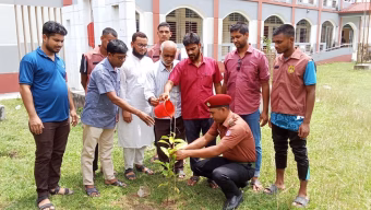 বাঘায় আনসার-ভিডিপির ওয়ার্ড দলনেতার উদ্যোগে বৃক্ষ রোপন-চারা বিতরণ 