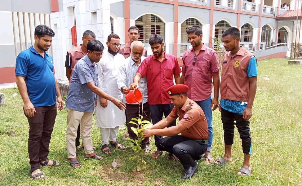 বাঘায় আনসার-ভিডিপির ওয়ার্ড দলনেতার উদ্যোগে বৃক্ষ রোপন-চারা বিতরণ 