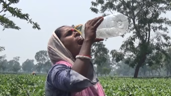 প্রখর রৌদ্রে চা শ্রমিক ও দিনমজুররা বিপদগ্রস্ত 