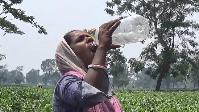 প্রখর রৌদ্রে চা শ্রমিক ও দিনমজুররা বিপদগ্রস্ত 