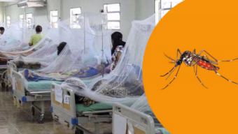 Dengue claims 9 more lives, daily hospitalisations hit record high