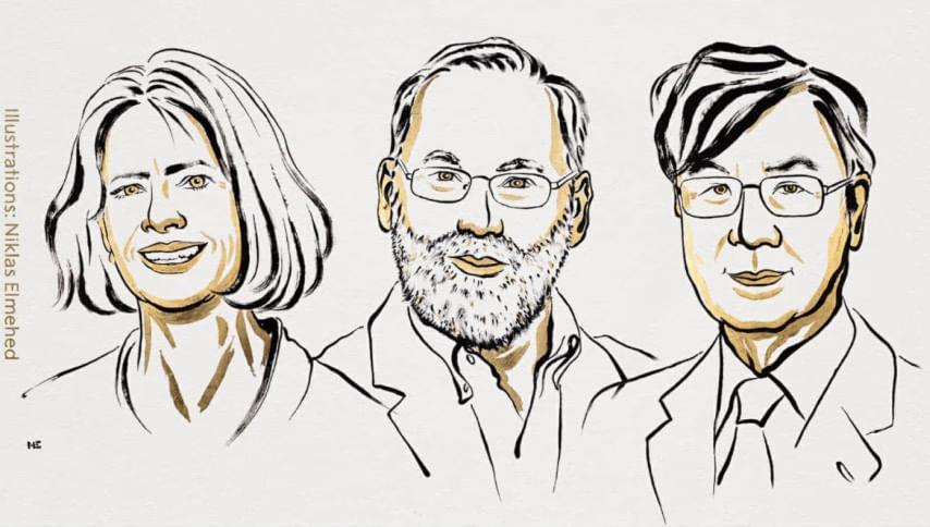 Three Scientists Win Nobel in Medicine for Immune System Discovery