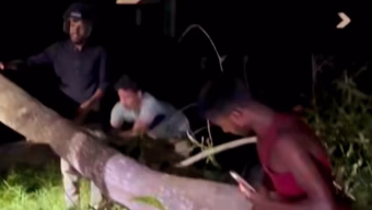 শ্রীমঙ্গলের সাতগাঁওয়ে রাতের ডাকাতির চেষ্টা ব্যর্থ: পর্যটকদের নিরাপত্তা এখন প্রধান চ্যালেঞ্জ