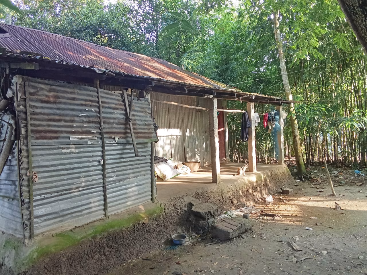 রাজনগর গভীর রাতে যোদ্ধাহত মৃত মুক্তিযোদ্ধার মেয়ের ঘরে ঢোকে ছিনতাই: বিচারের বাণী নীরবে কাঁদে