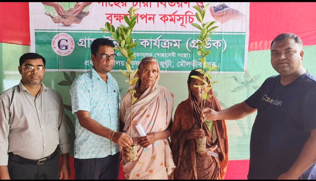 জুড়ীতে সাগরনাল চা-বাগানে গ্রাউকের বিনামূল্যে চক্ষু শিবির অনুষ্ঠিত
