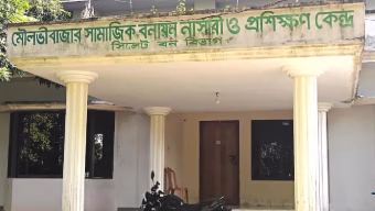 সামাজিক বনায়ন নার্সারী বিভাগের রেঞ্জার বিনা অনুমতিতে শাল গাছ বিক্রি করলেন