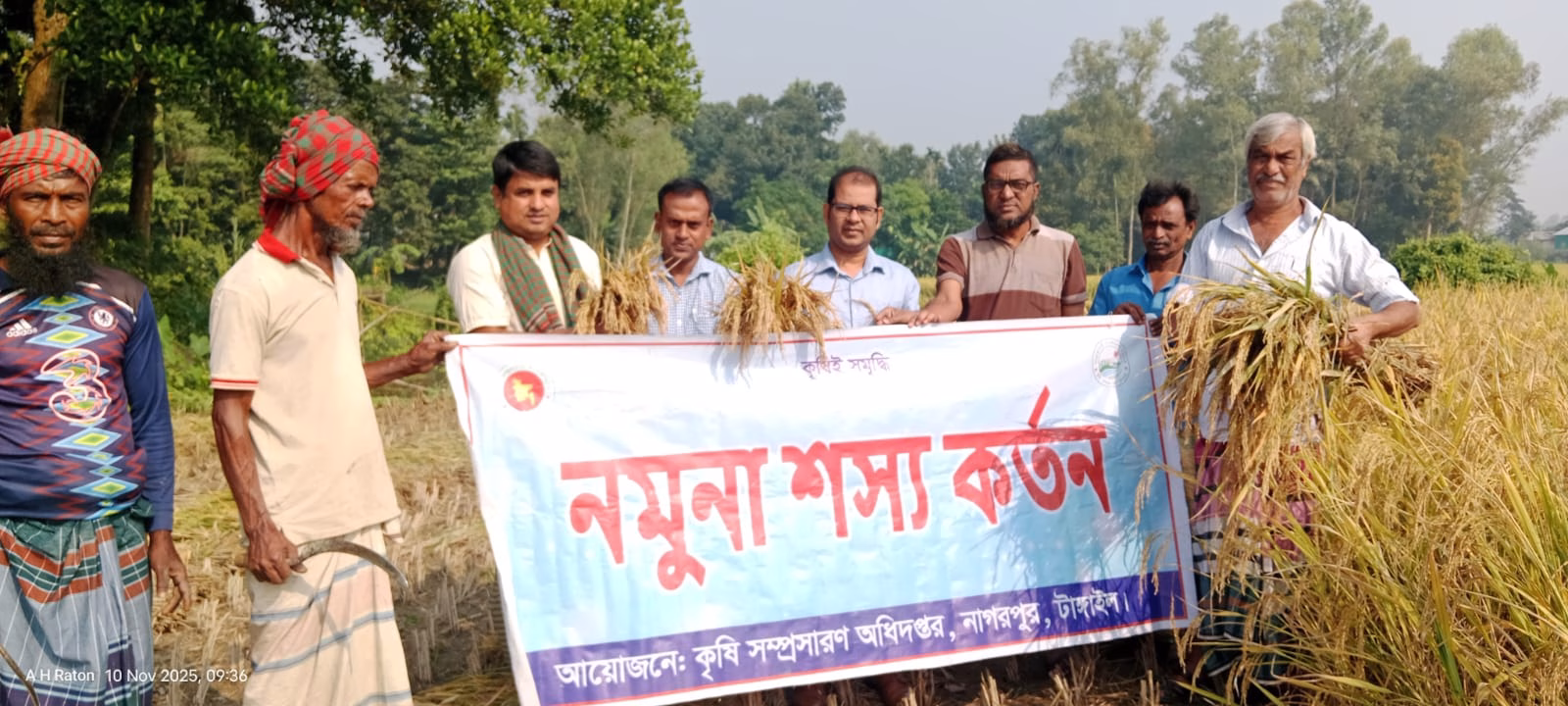 টাঙ্গাইলের নাগরপুরে ব্রি ১১০ ধান আবাদে সফল কৃষক রিপন 