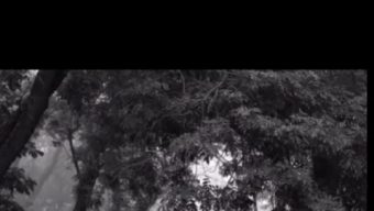 আজ থেকে গুনে গুনে,ভিডিও